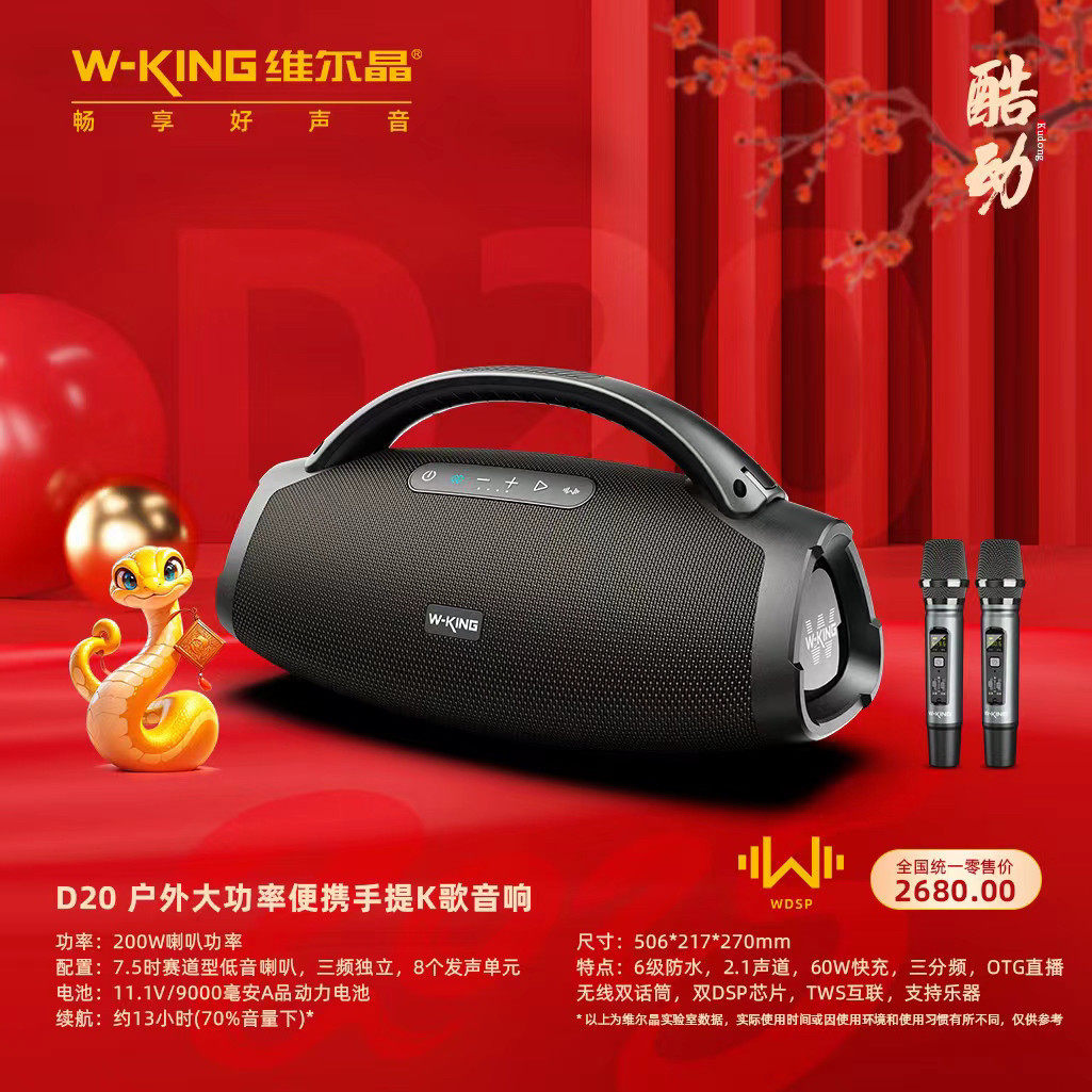 维尔晶D20新款蓝牙音响200W便携式露营低音炮看电影高配乐器弹唱