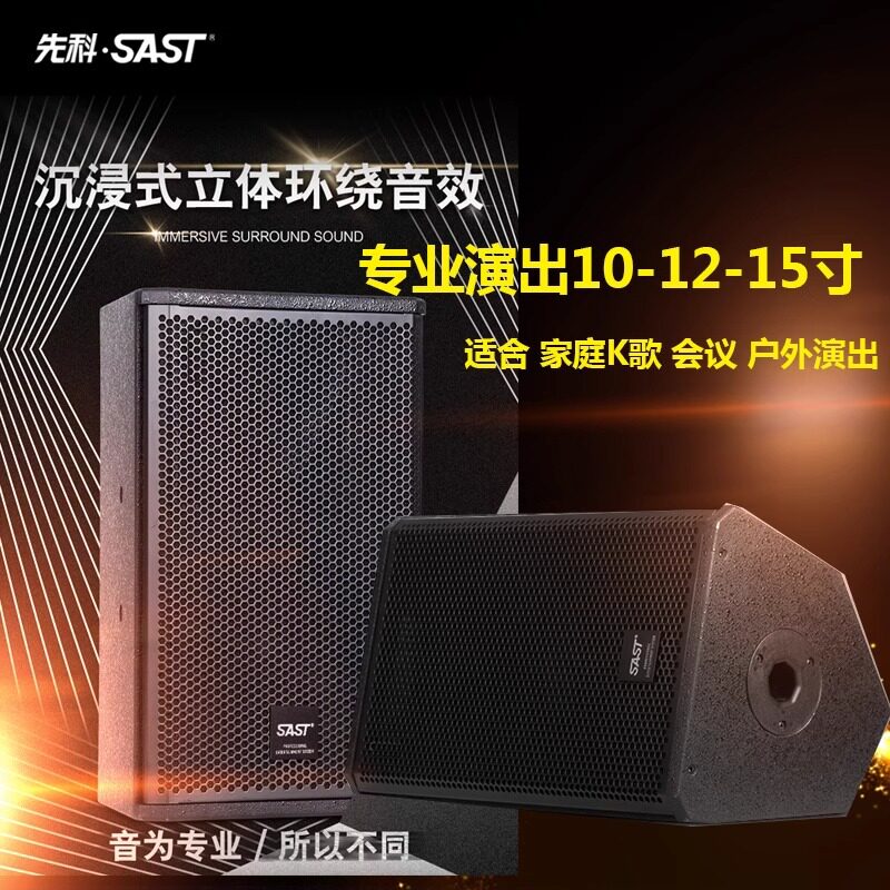 SAST/先科 KP12家庭ktv音响套装专业舞台演出会议全频音箱户外