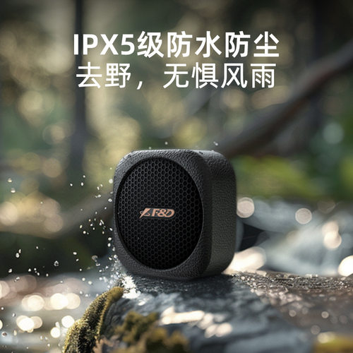 奋达RW10&20便携户外手提