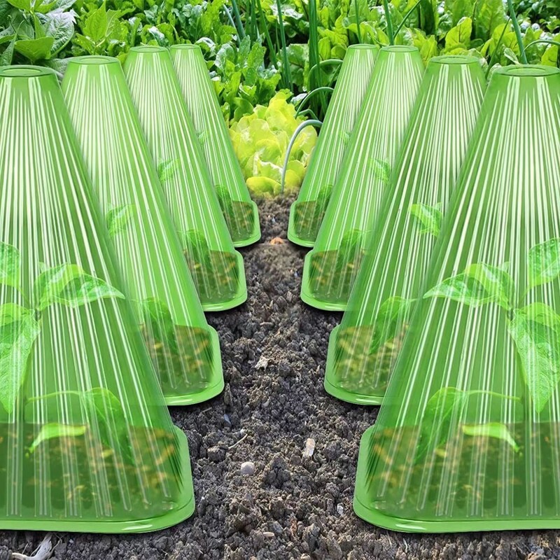专用使用重复使用方形植物钟罩免受大棚鸟类霜冻伤害绿色育苗保护