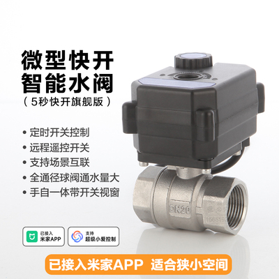 微型智能水阀304不锈钢手自一体定时远程控制防雨水已接入米家APP