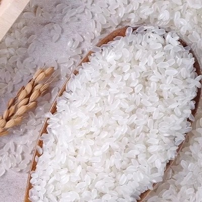 新疆温宿大米一年一季长粒香贡米非抛光米天山雪米10斤装优质新米