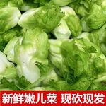 (纯儿子)四川儿菜新鲜当季时令泡菜原料娃娃菜抱母子芥菜农家蔬菜