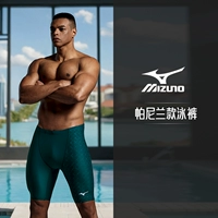 N2CBC104 Усовершенствованная модель Panilan