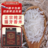 大米新米2025年新米正宗猫牙米泰国香米香米长粒香大米丝苗米10斤