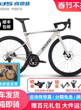 xds喜德盛官方新款AD300公路自行车成人男女款超轻20速油碟单车