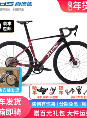 xds喜德盛AD350碳纤维破风公路自行车油压碟刹桶轴运动竞速单车