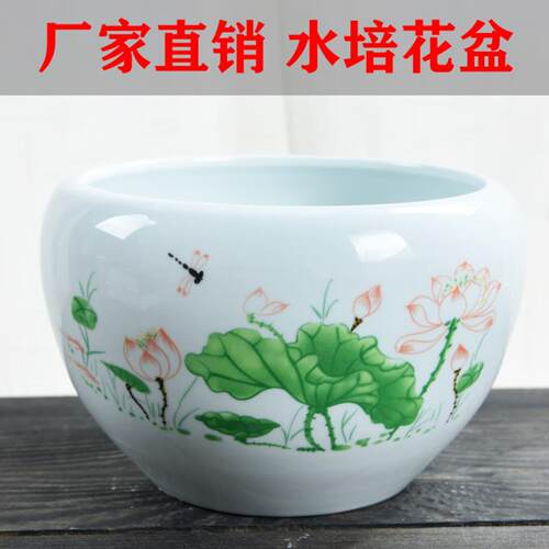 大号碗莲专用陶瓷水培花盆适配等