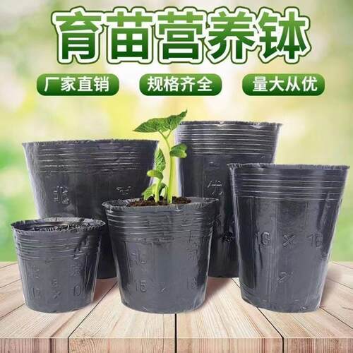 营养杯育苗杯加厚塑料一次性农用
