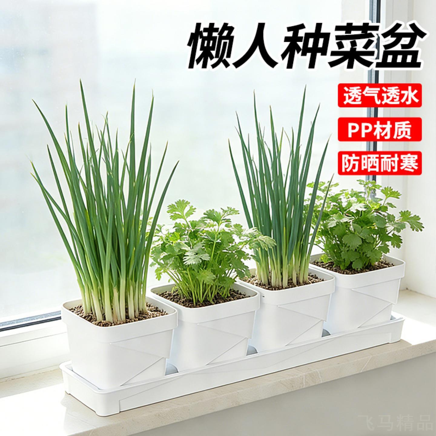 家用阳台养花种菜专用塑料长方形