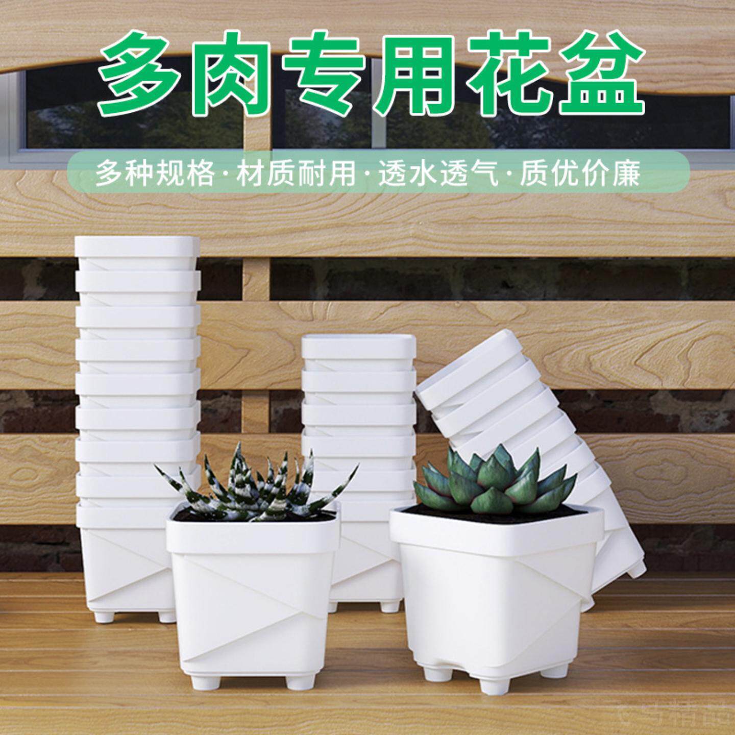 多肉植物专用方形加厚树脂花盆高