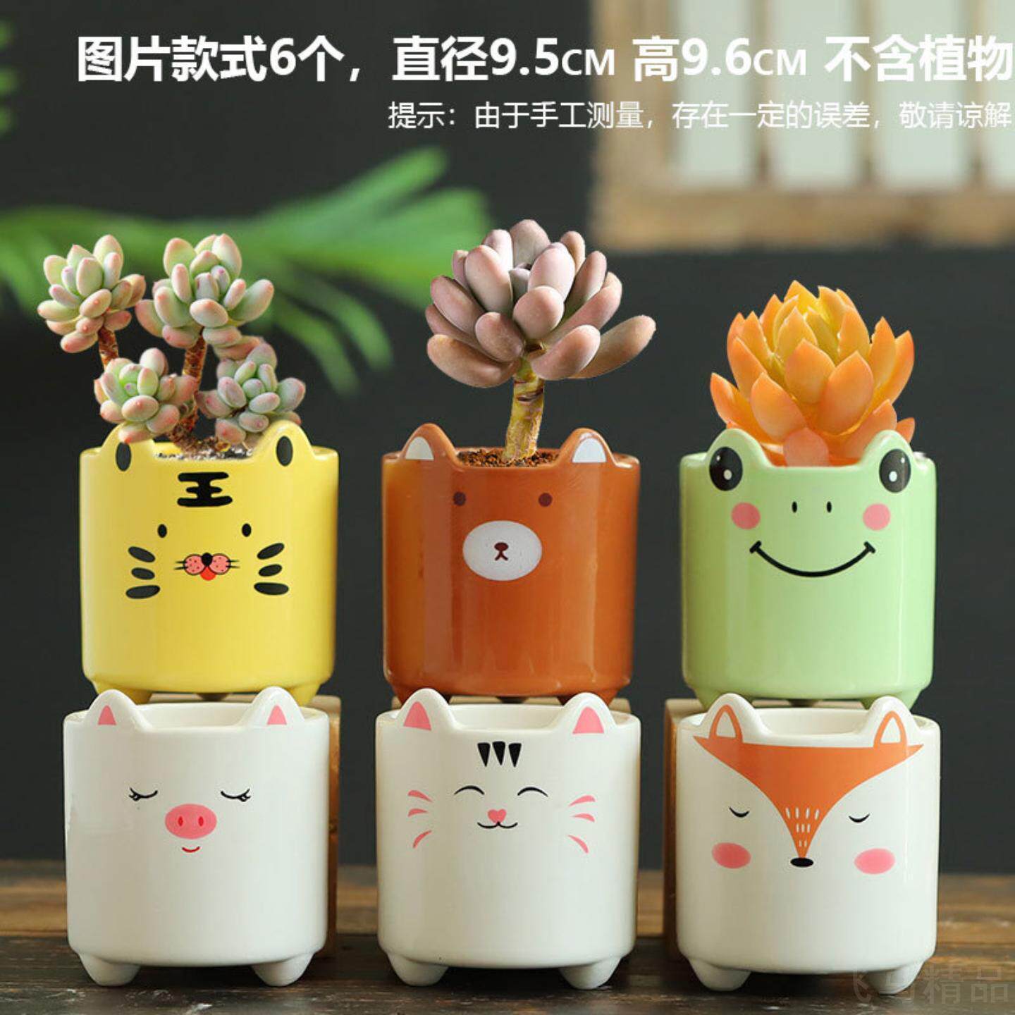 卡通多肉花盆陶瓷清仓包邮大口径
