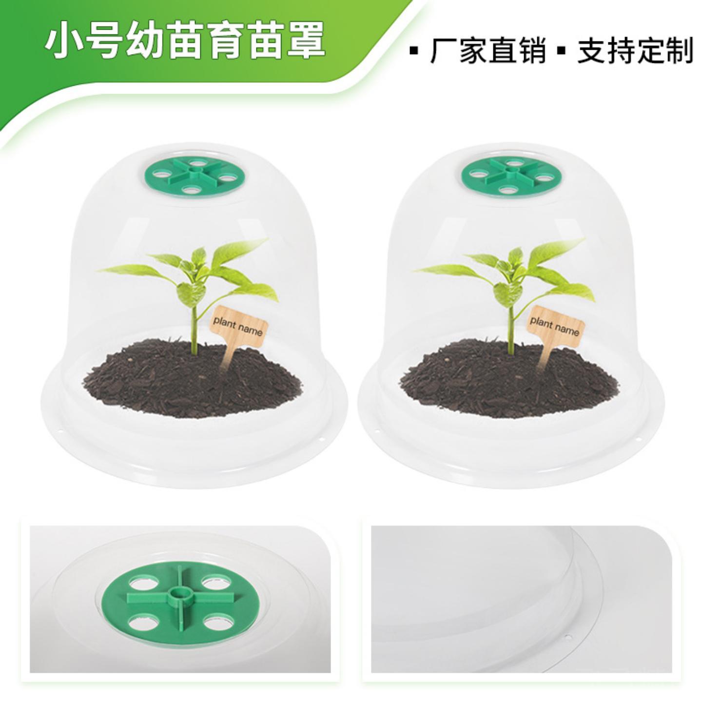 植物幼苗恒温保温罩透明园艺育苗