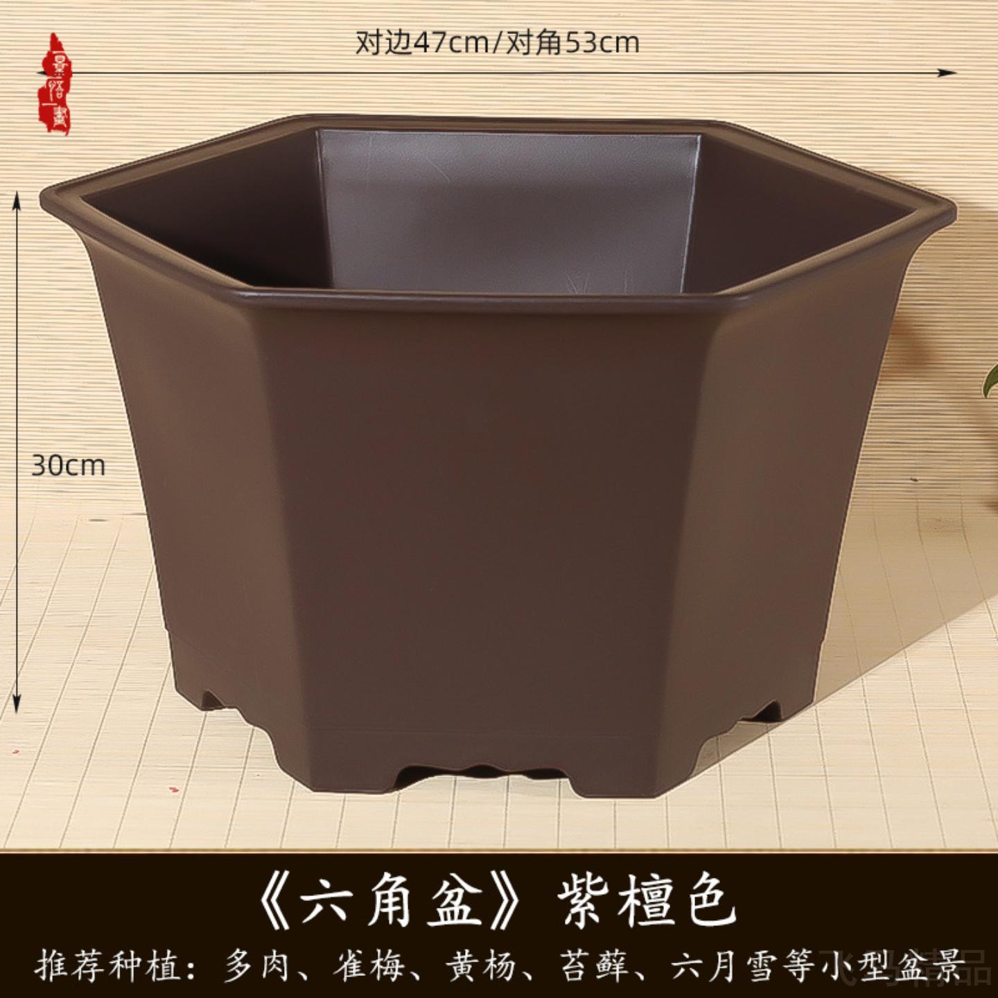 六角花盆家用大口径兰海棠玫瑰高