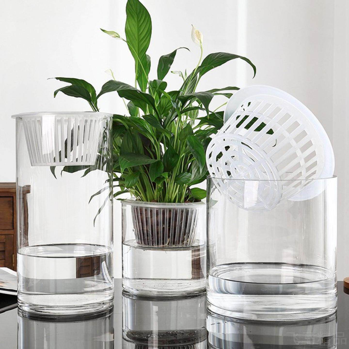 水培植物玻璃瓶子透明直筒圆柱形花瓶简约绿萝花盆白掌水养缸容器