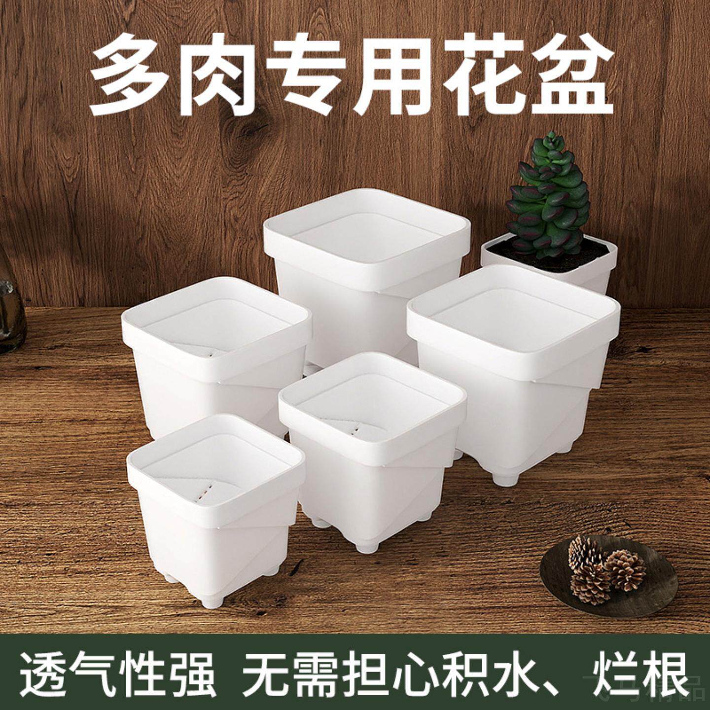 多规格特厚浅方盆家庭园艺塑料