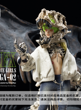 【补款链接】BC凶猛少女可动人偶雇佣枪兵 AAGA-02 Rex 玩具