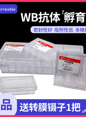 赛维尔 WB抗体孵育盒 高透明 抗体小盒PS/PC材质1格/2格/4格/9格western blot多规格孵育盒抗体收纳盒储存盒
