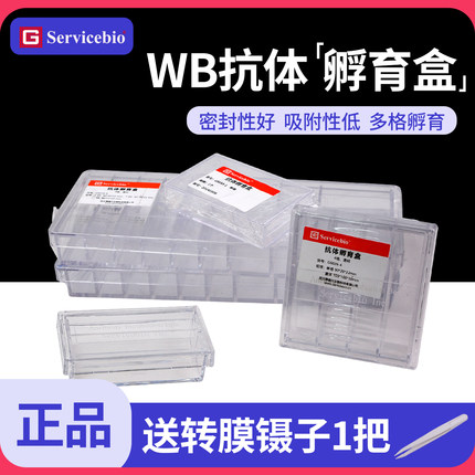 赛维尔 WB抗体孵育盒 高透明 抗体小盒PS/PC材质1格/2格/4格/9格western blot多规格孵育盒抗体收纳盒储存盒