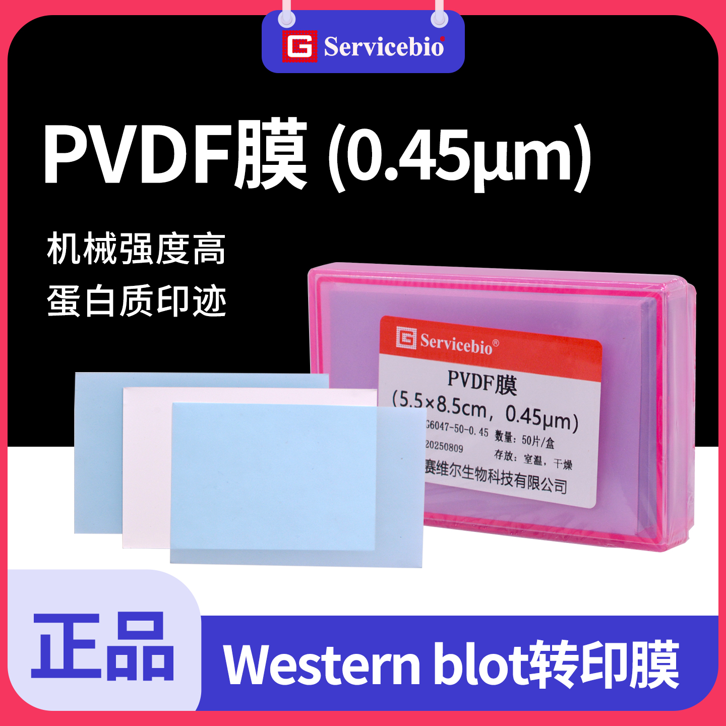 赛维尔PVDF膜0.45μm转印膜