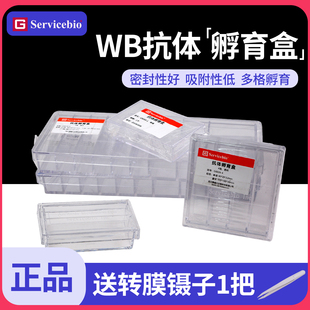 抗体小盒PS PC材质1格 2格 赛维尔 9格western 高透明 4格 blot多规格孵育盒抗体收纳盒储存盒 WB抗体孵育盒