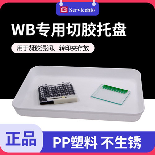 WB专用切胶托盘380*280*45mm