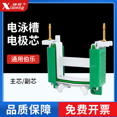 WB电泳槽电极芯 内芯 主芯 副芯 电泳槽配件耗材侧卡夹缓冲挡板we