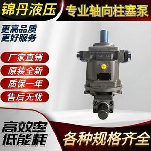 LP轴向柱塞泵 125 160 100 HY10 250Y 107