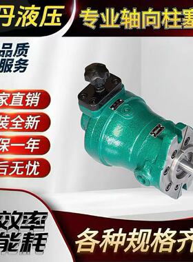 10SCY 25SCY 32SCY 40SCY 80SCY 108SCY 160SCY14-1D轴向柱塞泵