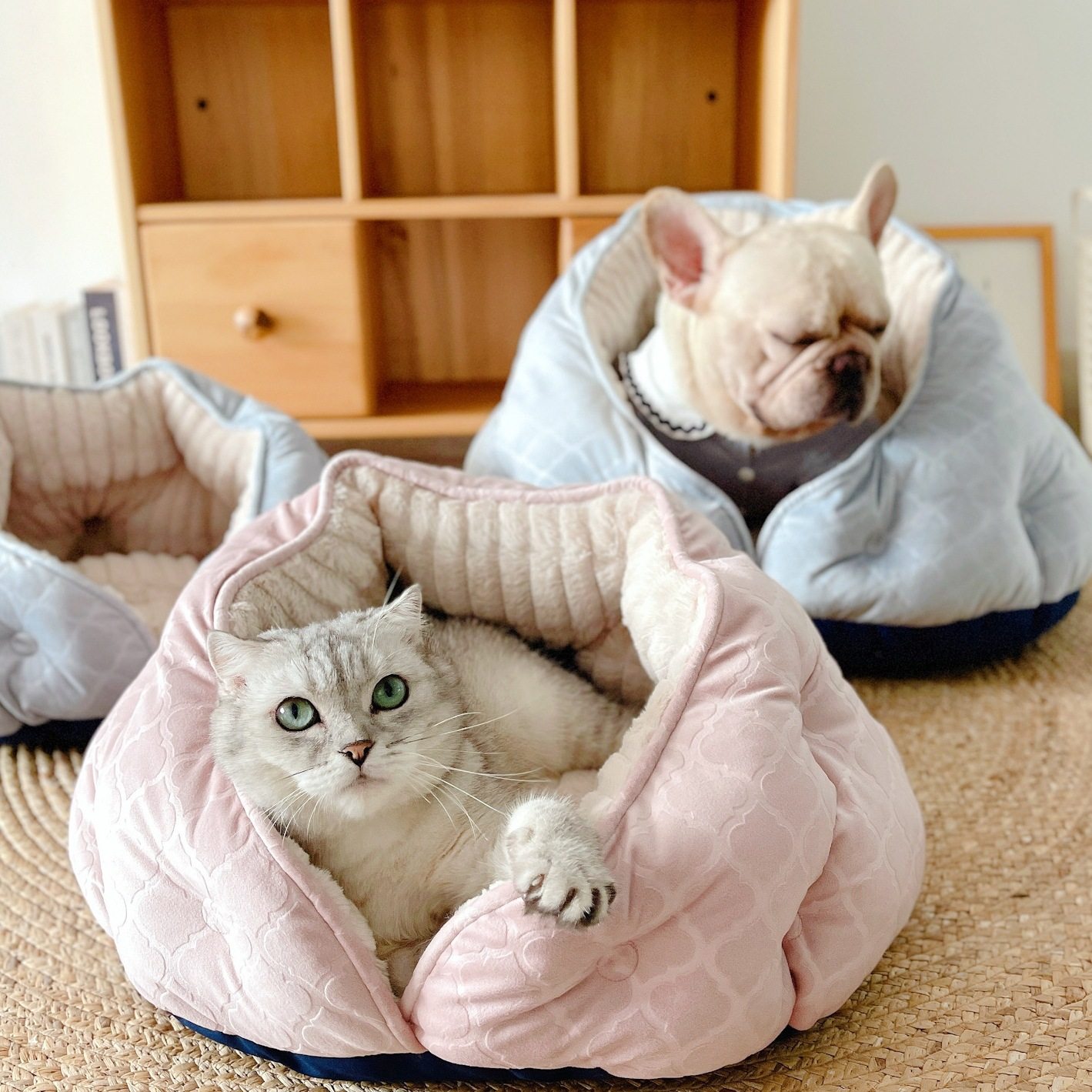 包围式狗帐篷狗窝猫窝半封闭挡风感秋冬软窝房子保暖加厚包裹,宠物/宠物食品及用品,狗窝/屋/帐篷/沙发,淘宝优惠券,粉丝福利购,淘宝优惠卷