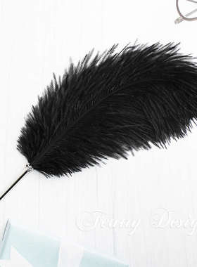 菲比羽墨 精致复古圆珠笔 鸵鸟羽毛笔 新O年生日礼物学生 11