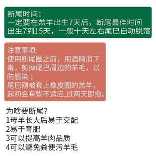 断尾钳羊用羊羔断尾器羊尾钳羔羊断尾钳L羊断尾钳羊断尾器断尾皮