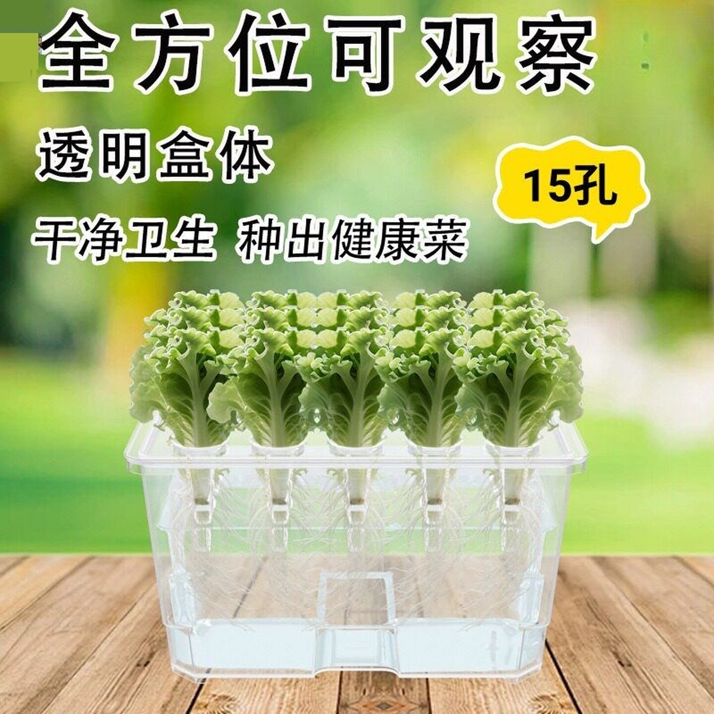 水培育苗盘蔬菜种植箱无土栽培阳台种菜绿植植物育苗儿童教学种菜