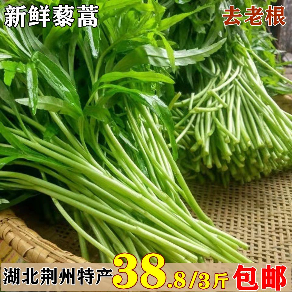 湖北荆州藜蒿新鲜野生芦蒿洪湖泥蒿篱蒿蓠蒿泥耗黎耗菜蔬菜3斤