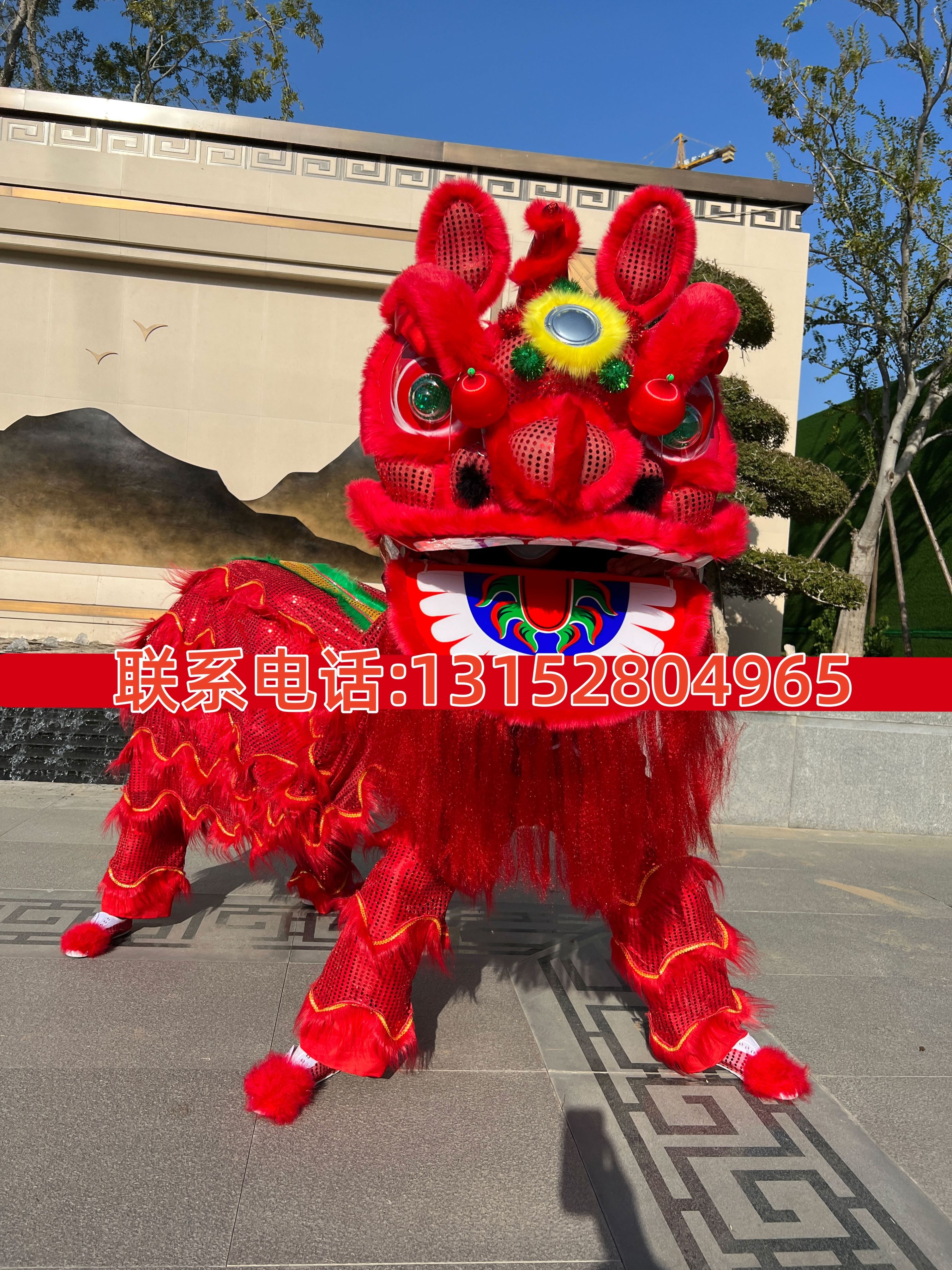 舞狮全套服装春节演出道具醒狮衣服过年表演双人单人狮头舞龙南狮