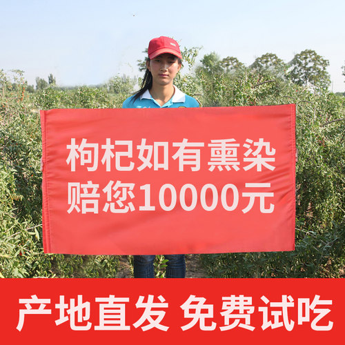 中宁特级大颗粒枸杞子