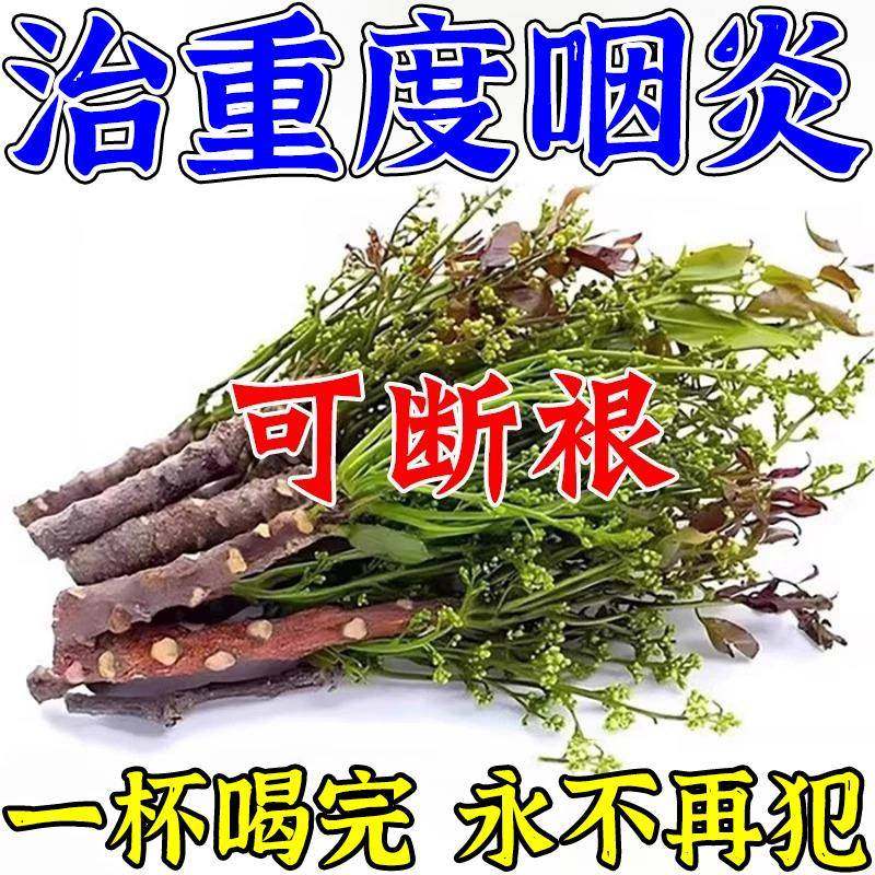 咽喉炎慢性咽炎除根专用茶包治喉咙有痰异物感滤泡化痰止咳特效药