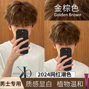 金棕色染发剂男士专用2024学生亚麻金棕流行色自己在家免漂染发膏