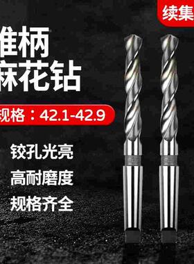 加长锥柄麻花钻头42.1 42.2 42.3 42.4 42.5 42.6 42.7 42.8 42.9