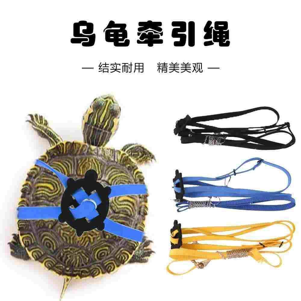 宠物乌龟外出牵引绳遛龟 可调节大小多款颜色乌龟外出用,3C数码配件,USB多功能数码宝,淘宝优惠券,粉丝福利购,淘宝优惠卷