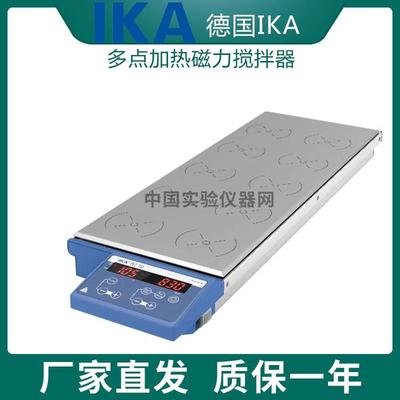 【德国IKA】 多点加热磁力搅拌器（15点）/高效RT 15点磁力搅拌机