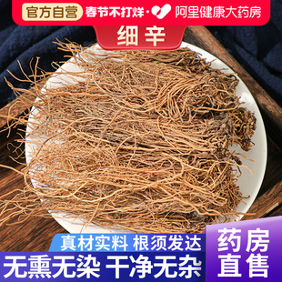 正品细辛中草药材北细辛辽细辛干货细辛根泡水丁香细辛非野生官方