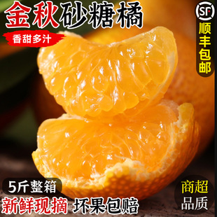 【整箱包邮】正宗金秋砂糖橘新鲜水果当季时令桔子蜜柑橘薄皮