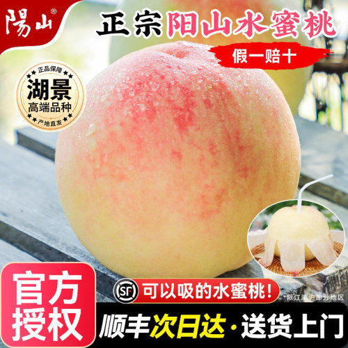 【湖景】正宗阳山水蜜桃礼盒顺丰
