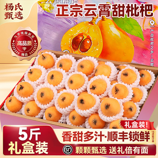 【5斤礼盒装】顺丰正宗云霄枇杷鲜果新鲜应季水果特大果现摘批把