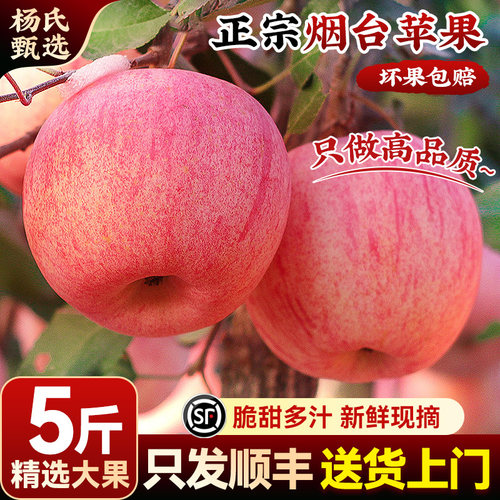 【5斤】顺丰山东烟台红富士苹果新鲜水果当季冰糖心栖霞平正宗