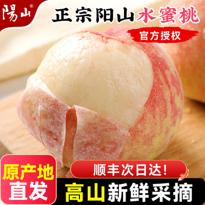 【高山蜜桃】正宗无锡阳山水蜜桃当季时令水果新鲜整箱湖景顺丰