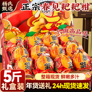 【整箱现货】礼盒春见耙耙柑整箱正宗5斤新鲜水果当季四丑怪橘川