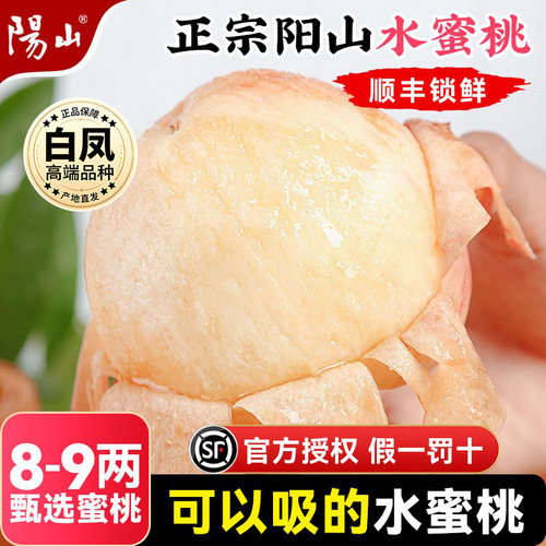【8-9两】正宗无锡阳山水蜜桃子