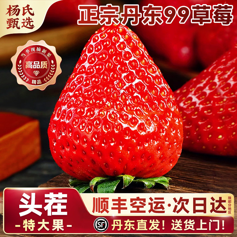 正宗丹东99草莓特大新鲜水果九九红颜奶油礼盒装东港牛奶久久顺丰